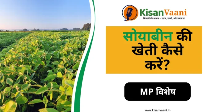 सोयाबीन की खेती कैसे करें – मध्यप्रदेश के लिए जून जुलाई 2025 की पूरी गाइड, बुवाई समय, बीज और देखभाल की जानकारी।
